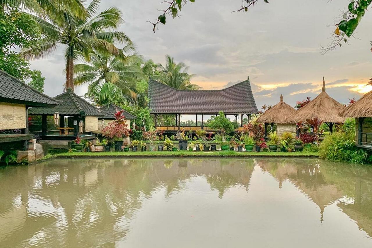 Lesehan Cahaya Tetebatu Inn Syariah At Desa Wisata מראה חיצוני תמונה