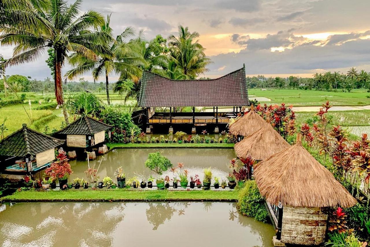 Lesehan Cahaya Tetebatu Inn Syariah At Desa Wisata מראה חיצוני תמונה